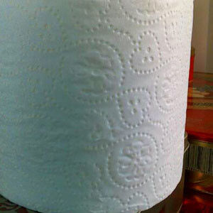 De Besnoeiingen van 7.5KW 150/Min Toilet Tissue Paper Roll-Snijdersmachine